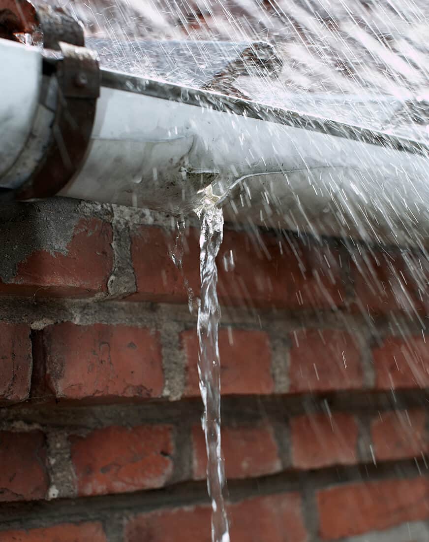 “My gutters were leaking and water was pooling around my back door.”